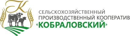 Лого